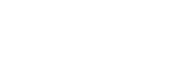 Vida Premium